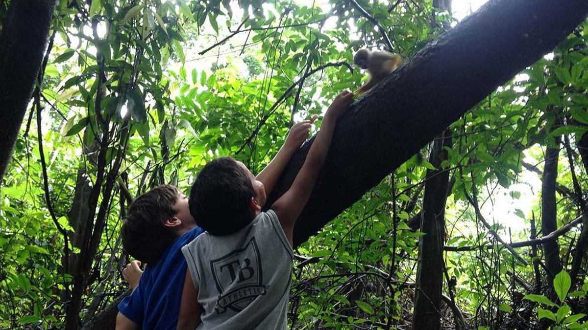 O macaco-de-cheiro não tem medo de quem tem banana - A campanha de vacinação em novas áreas da Zona Sul começa nesta quinta-feira