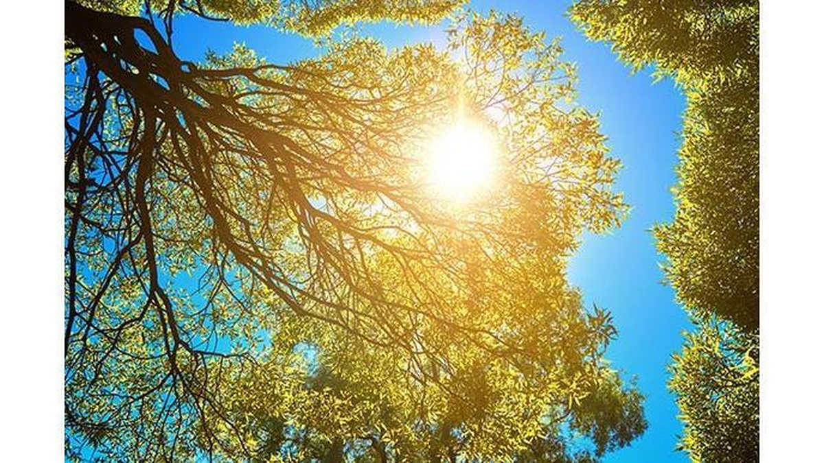 É importante se atentar aos horários e à duração do banho de sol em recém-nascido - Shutterstock