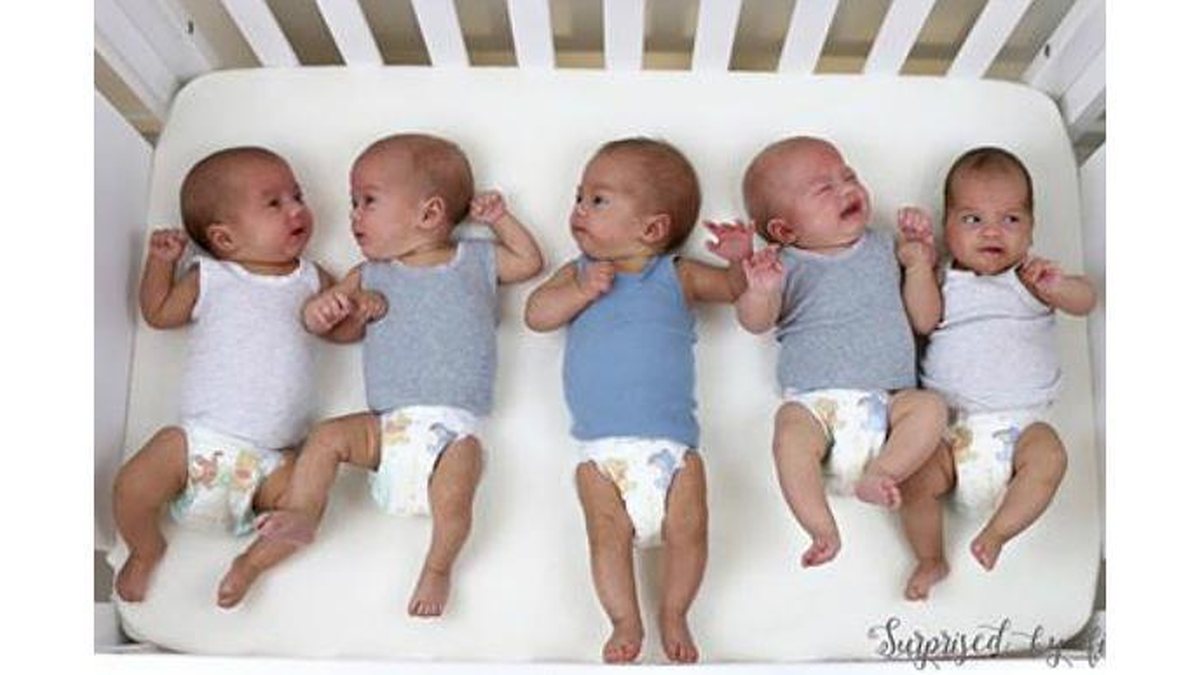 A autraliana Kim Tucci deu à luz aos quíntuplos em janeiro deste ano - Reprodução Facebook Surprised by Five