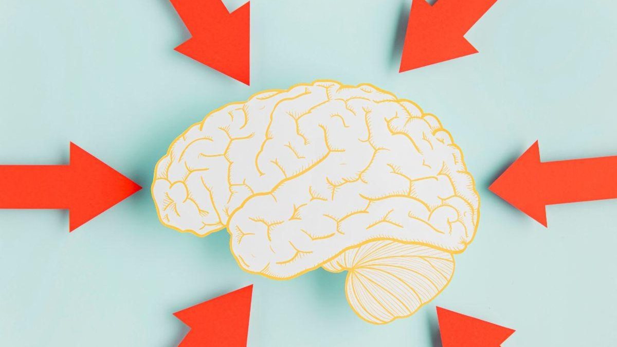 O que muda no cérebro durante a gravidez - Foto: Shutterstock