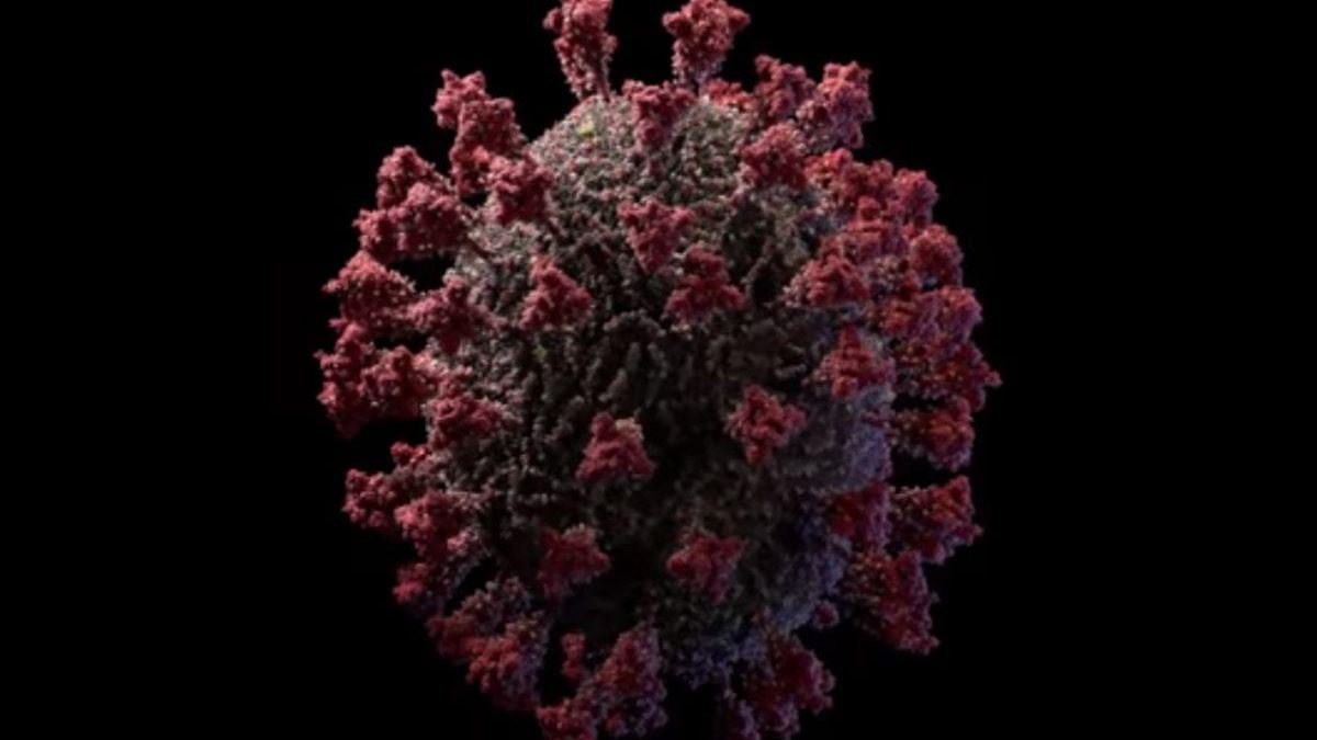 Estúdio mostra o coronavírus em 3D - Getty Images