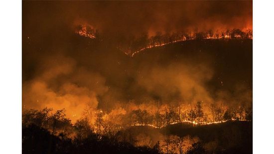 O desastre aconteceu na Floresta Nacional de Coronado, no Arizona, Estados Unidos - Getty Images