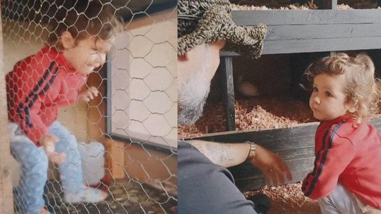 Bruno Gagliasso levou o filho para brincar no galinheiro - Reprodução / Instagram
