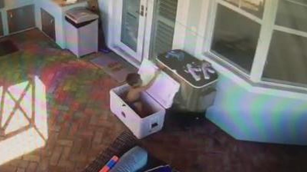 Imagem Vídeo mostra menino de 5 anos preso em cooler e pais fazem alerta