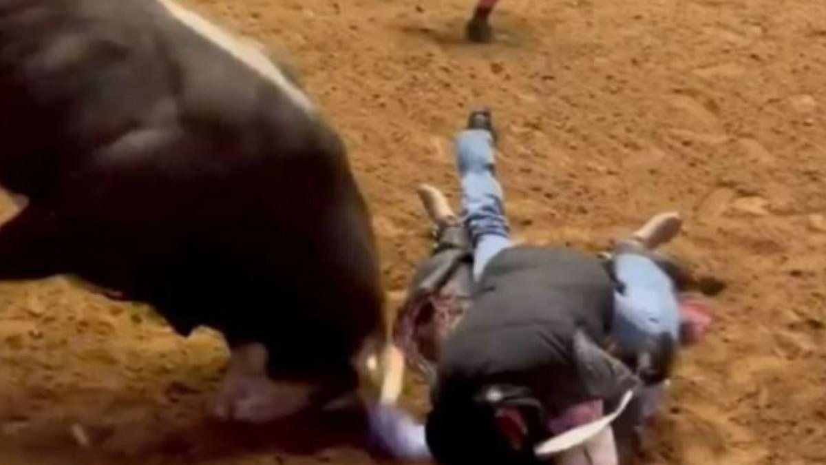 O pai se jogou em cima do filho para salvá-lo do touro - Reprodução/Instagram @cody__hooks