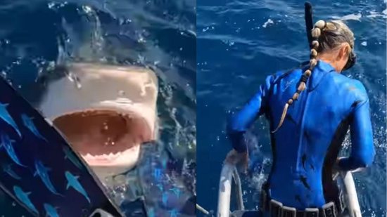 A mulher quase foi mordida por um tubarão - Reprodução/Instagram