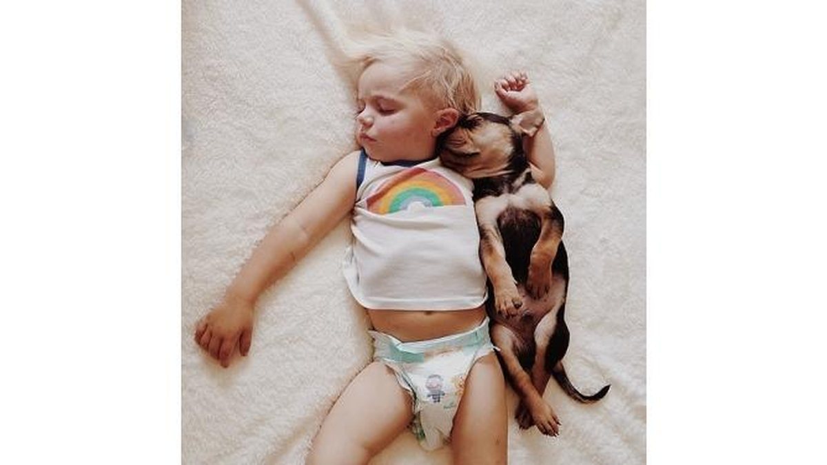 Imagem Feito cão e… bebê!