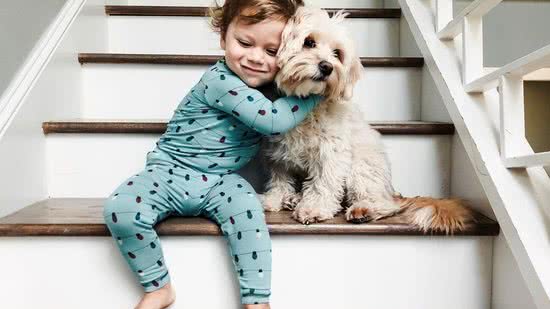 Cachorro Spaniel Palha - Getty Images