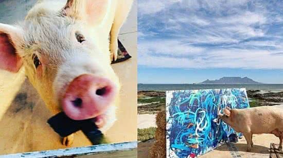 Porco faz sucesso com obras de arte nas redes sociais e vende quadro por R$ 130 mil - reprodução Instagram