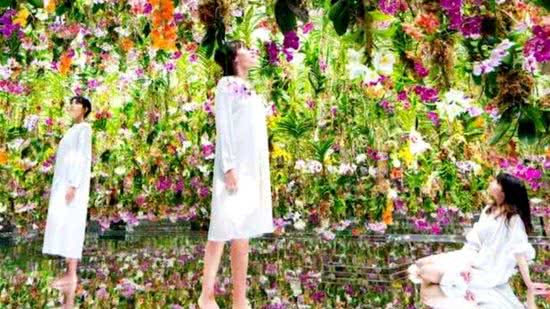 Jardim de Tóquio promete verdadeira imersão nas flores - reprodução YouTeube