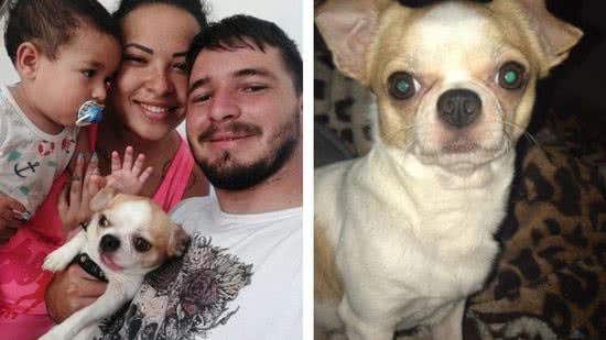 Família reencontra cachorro e mulher que achou recusa carro como recompensa - Reprodução / Facebook