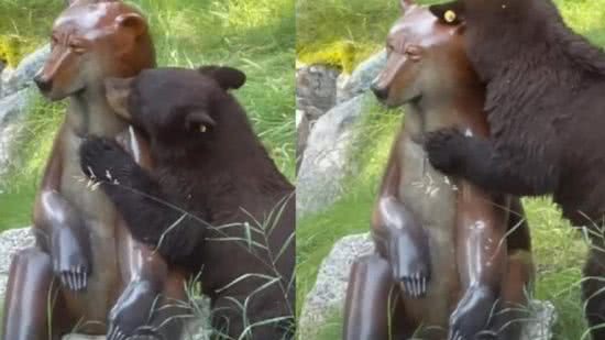 O urso se esfregou apaixonadamente na estátua - Reprodução / YouTube