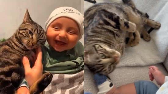 O gato e o bebê encantaram os internautas - Reprodução/Instagram