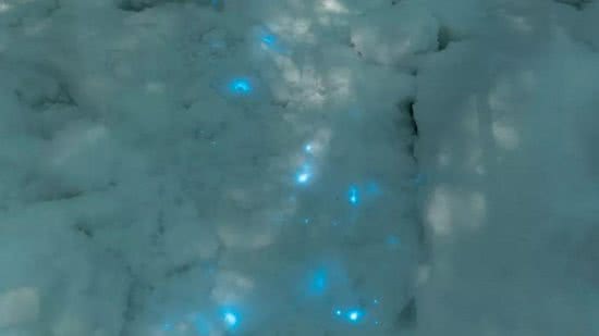 Neve brilhante é vista no Ártico - Reprodução / Facebook / Alexander Semenov