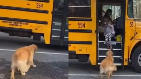 Quanta gentileza! Vídeo mostra cachorro esperando criança voltar da escola para carregar sua mochila - Reprodução / YouTube / OCP News