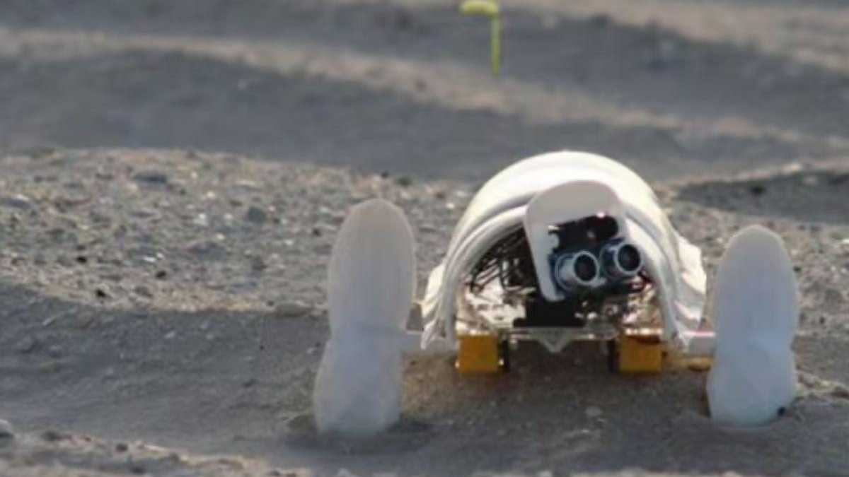 Robô que planta sementes no deserto - Reprodução / Só Notícia Boa