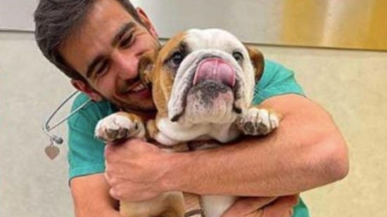 O veterinário encantou ao mostrar técnica infalível para aplicar vacina nos cachorros - Reprodução/ Só Notícia Boa