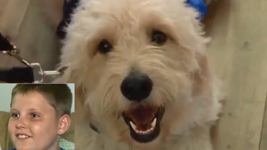 Grady Lucas apelidou o cachorro de Lucky - reprodução/YouTube