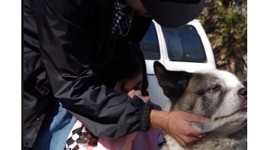 Família reencontra cachorro 101 dias após incêndios na Califórnia - Reprodução/Facebook