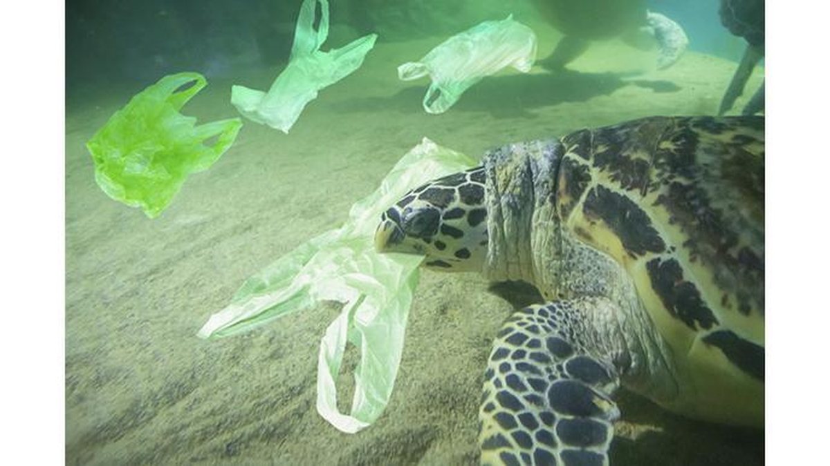 Os canudos agora serão de papel biodegradável - Getty Images