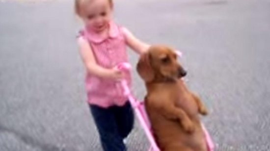 Vídeo de garotinha empurrando um cachorro no carrinho de bebê faz sucesso - reprodução YouTube