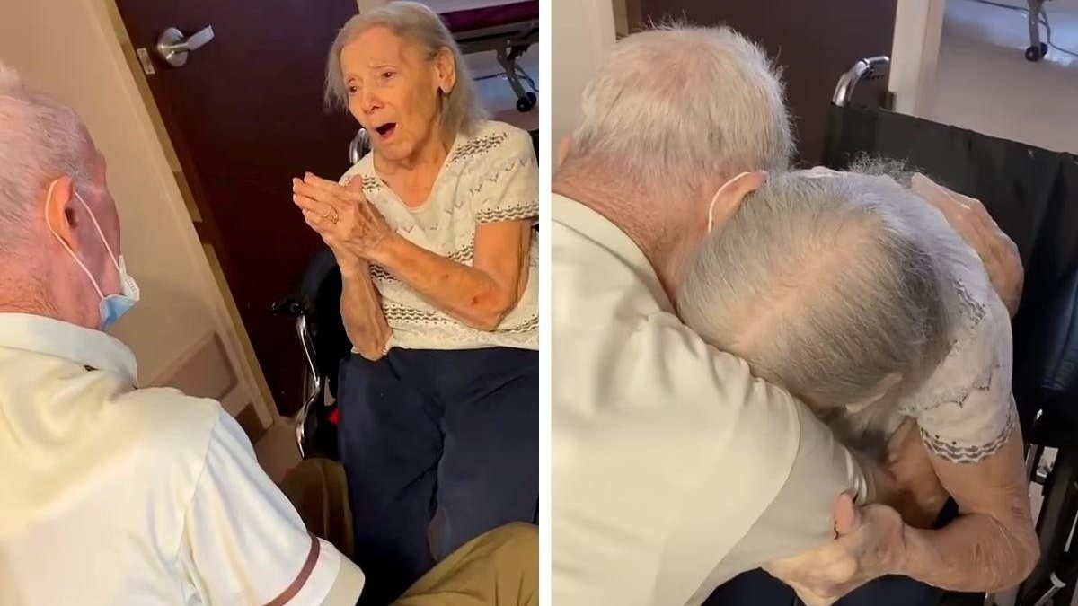 Casal de idosos se reencontram - reprodução Daily Mail / facebook