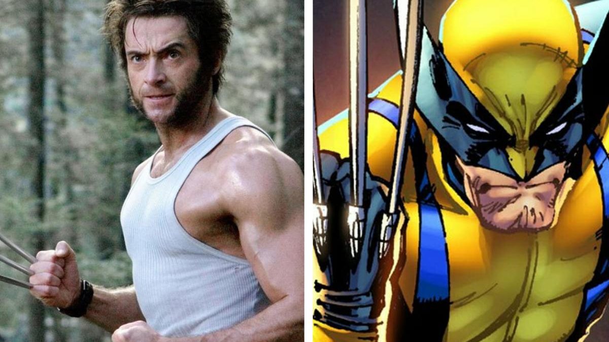 Animal que inspirou na criação do Wolverine é flagrado nos EUA - Reprodução/Yellowstone Insight