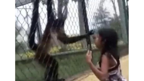 O macaco agarrou o cabelo da menina no zoológico - Reprodução/ UOL