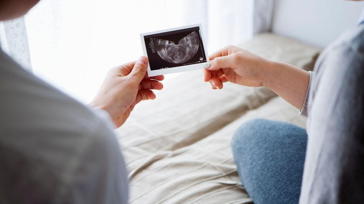 É possível engravidar já estando grávida? Por mais que a resposta para essa pergunta parece ser seguramente um grande “não”, a verdade é que esse fato pode acontecer - Shutterstock