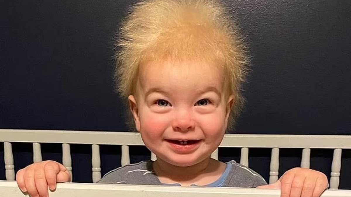 A mãe do bebê decidiu criar um Instagram para mostrar o cabelo do filho - Reprodução Instagram @uncombable_locks