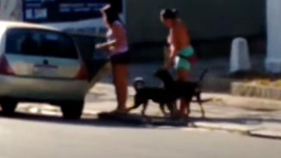 Os cachorros até correm atrás da mulher porém, em vão - Reprodução/Youtube