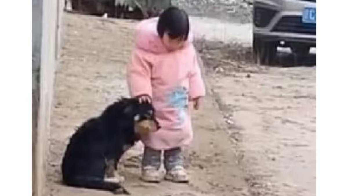 Menina de 2 anos viraliza ao tapar orelha de cachorro de rua para protegê-lo de fogos de artifício - reprodução YouTube