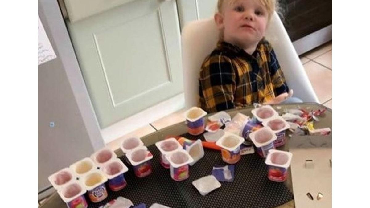 Criança ama o sorvete - Reprodução / Mirror
