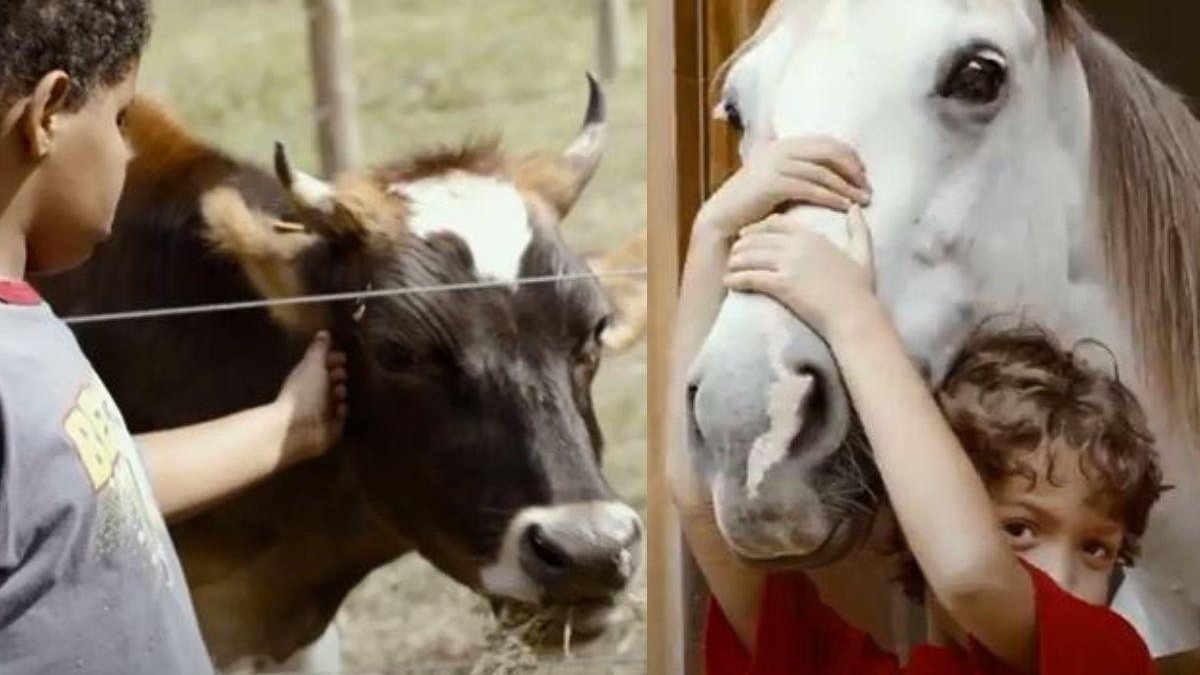 A ONG Conecta promove a terapia com animais - Arquivo Pessoal