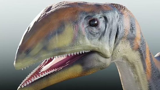 Cientistas descobrem nova espécie de dinossauro que chegou a atingir 13 metros de comprimento! - reprodução Daily Mail