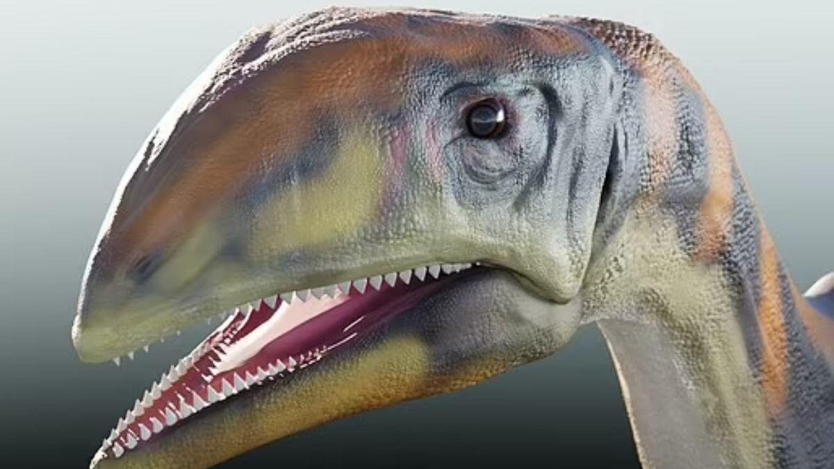 Cientistas descobrem nova espécie de dinossauro que chegou a atingir 13 metros de comprimento! - reprodução Daily Mail