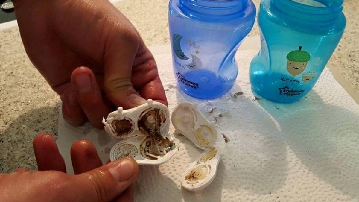 Mães encontraram mofo no copo dos filhos - Reprodução / Facebook