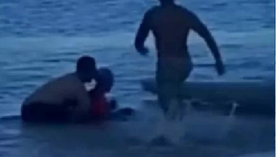 O vídeo registra o momento em que a foca atacou a banhista - Reprodução/ Twitter