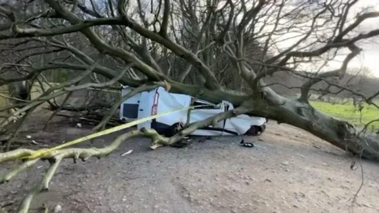 Menino é atingido por árvore em tempestade - Reprodução/ Instagram
