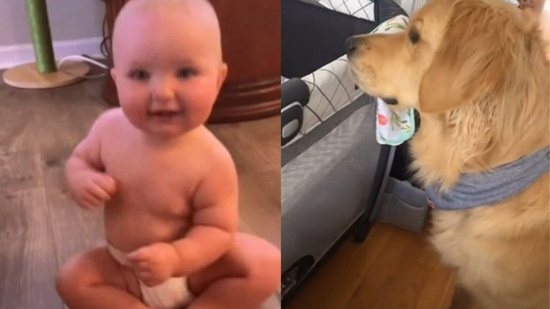 Bebê e cachorro são melhores amigos - Reprodução / TikTok / @mmcgroder