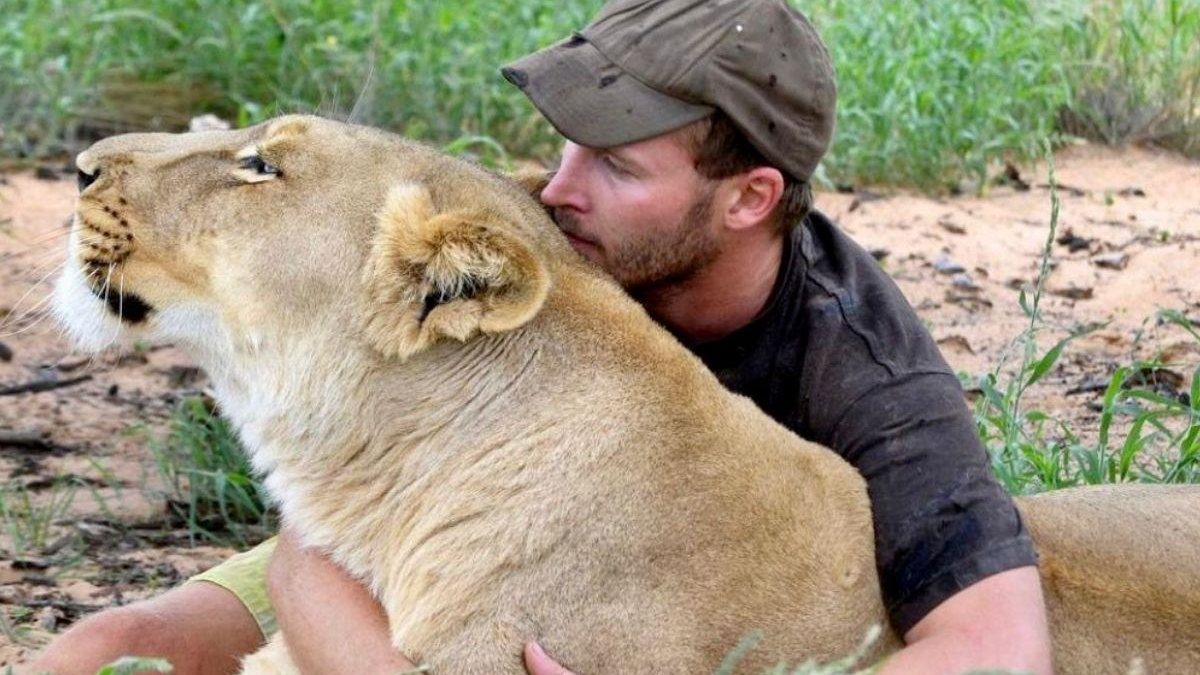 Valentin diz que criou um carinho de pai com a leoa - Reprodução / Instagram @sirgathelioness