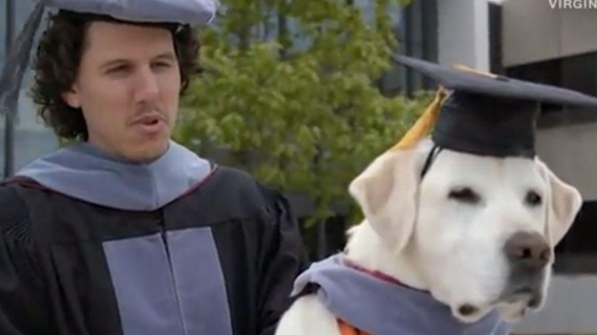 Cão recebe diploma de doutorado (Foto: reprodução 