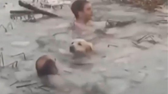 Policiais salvam cachorro em lago de gelo na Espanha - Reprodução / Só Notícia Boa