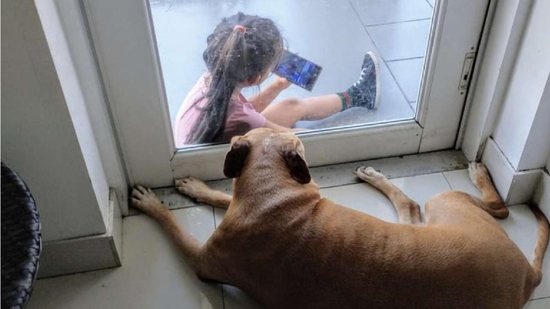 Uma menina e uma cadela de 12 anos ficaram algum tempo juntas através da porta de vidro da casa - Reprodução/The Dodo
