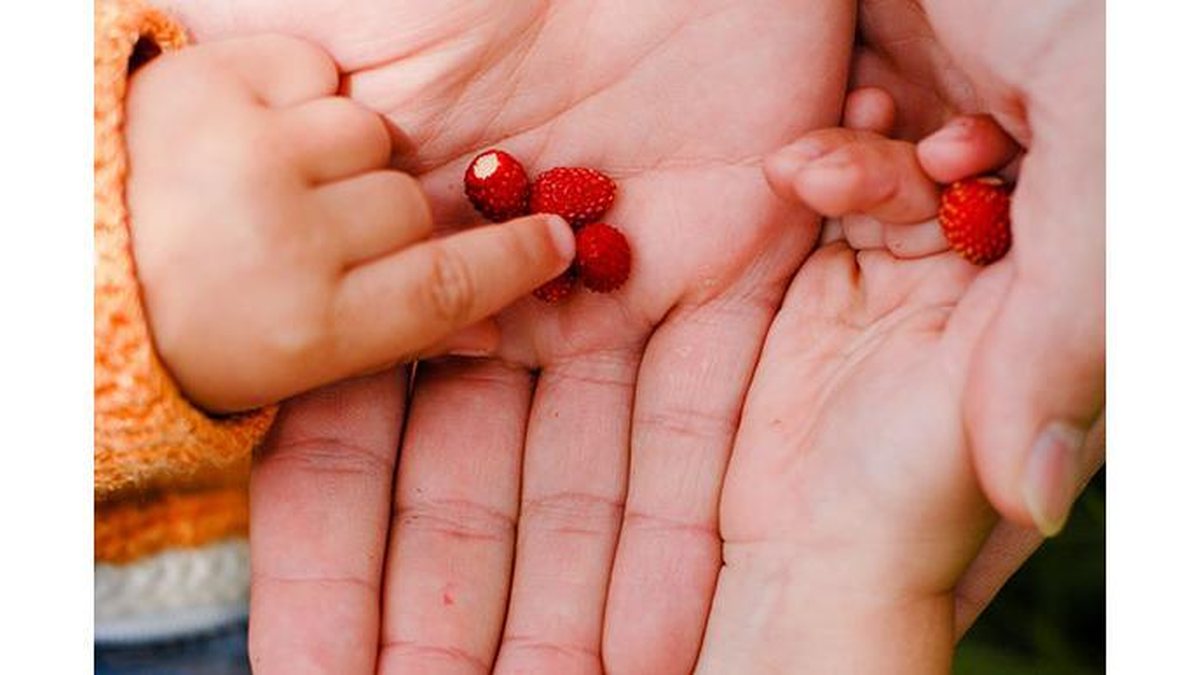Apreciar os pequenos momentos é uma das formas de criar filhos mais gratos - Shutterstock