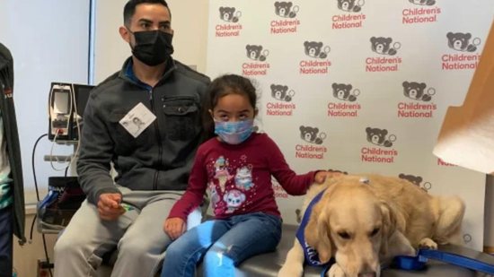 Cães acalmam crianças que tomam vacina nos Estados Unidos - Reprodução / Today Parents