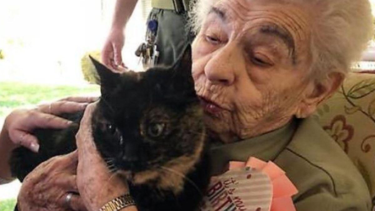 Mulher de 103 anos realiza sonho ao ganhar gato de presente de aniversário - Reprodução / Instagram / Inspire More