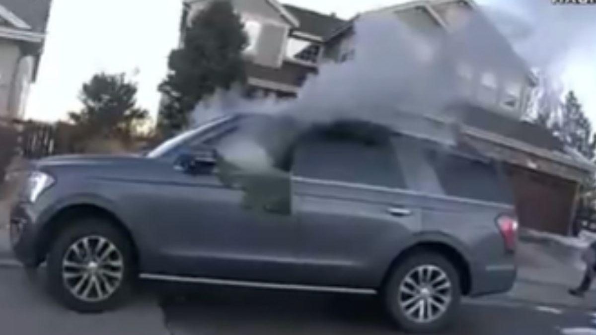 Policiais resgatam cachorro dentro dentro de carro em chamas - Reprodução / g1