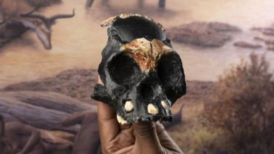 Fóssil de criança foi encontrado na África do Sul - Reprodução/ Wits University