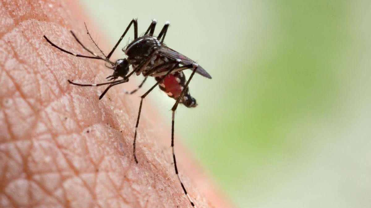 Malária está entre as principais causas de morte de crianças - Getty Images